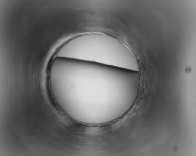 X0000103150342200808221133