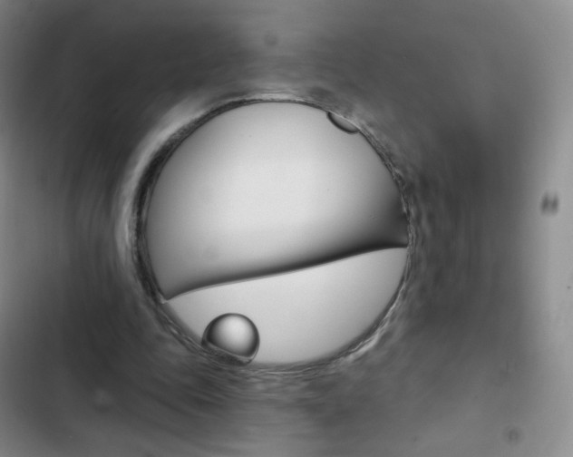 X0000103150343200808221133
