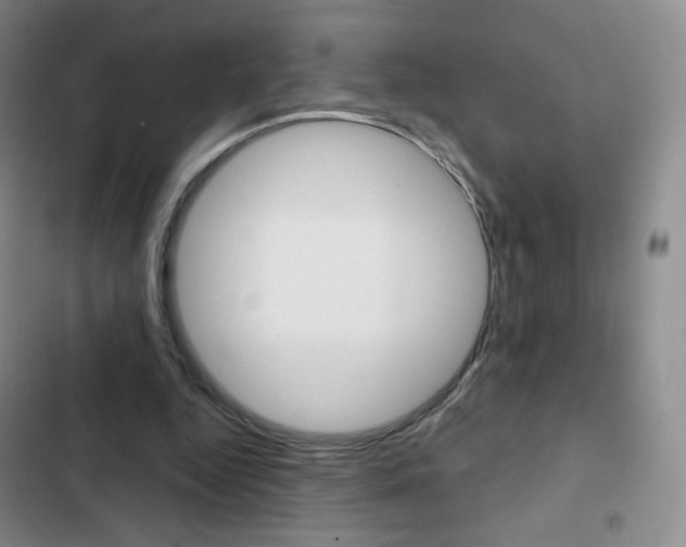 X0000103150344200808221133