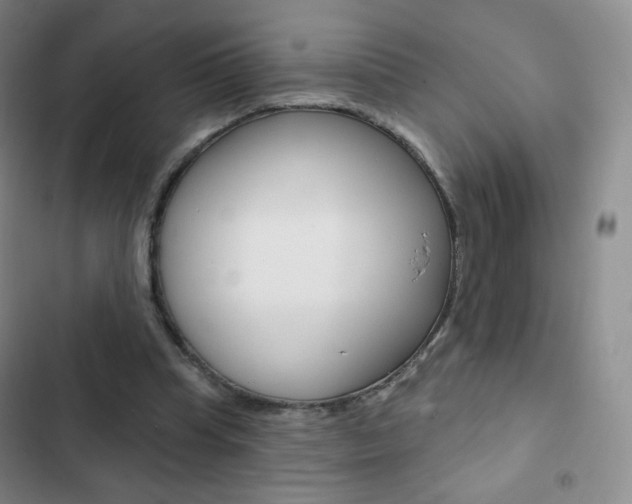 X0000103150345200808221133