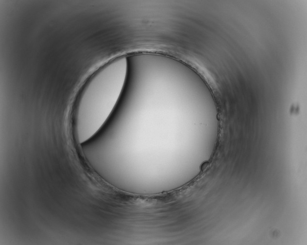 X0000103150346200808221133