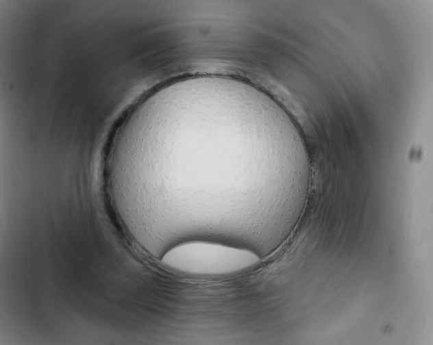 X0000103150347200808221133