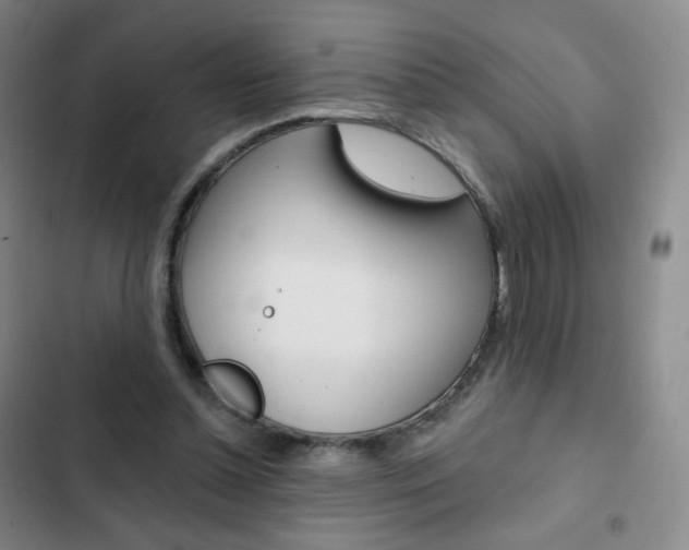 X0000103150348200808221133