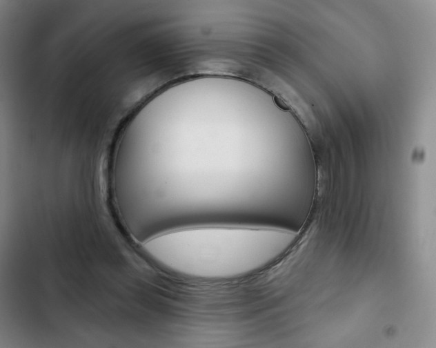 X0000103150349200808221134