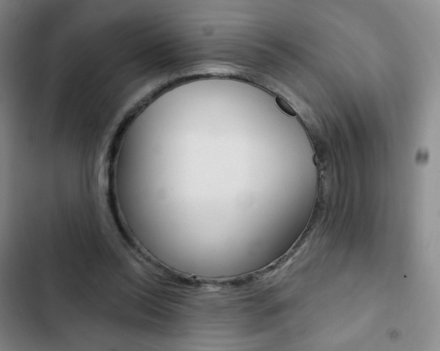 X0000103150350200808221134