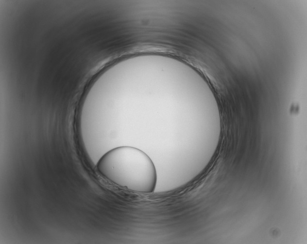 X0000103150352200808221134