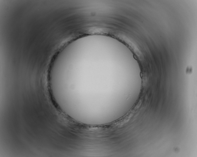X0000103150353200808221134