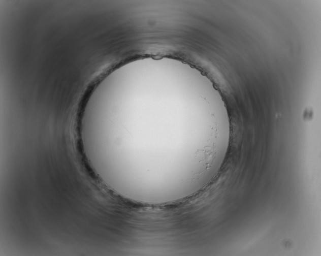 X0000103150354200808221134