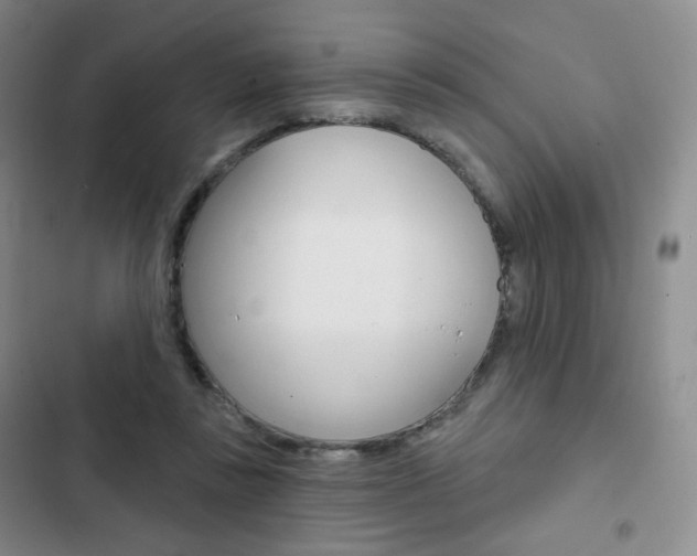 X0000103150355200808221134