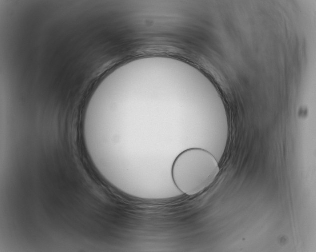 X0000103150356200808221134