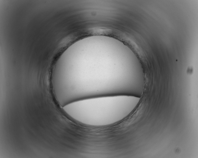 X0000103150357200808221134