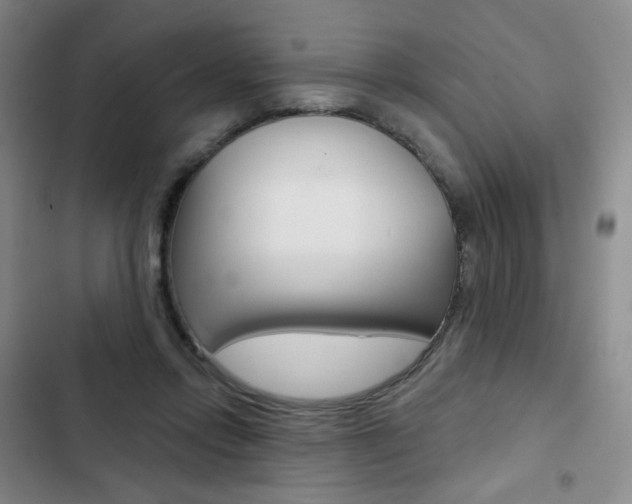 X0000103150358200808221134