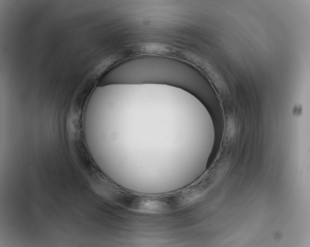 X0000103150360200808221134