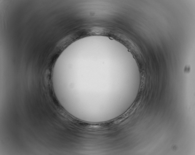 X0000103150361200808221134