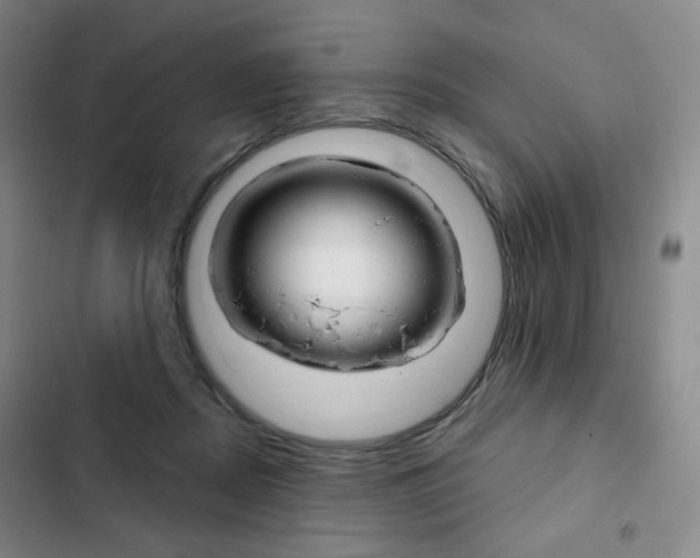 X0000103150362200808221134