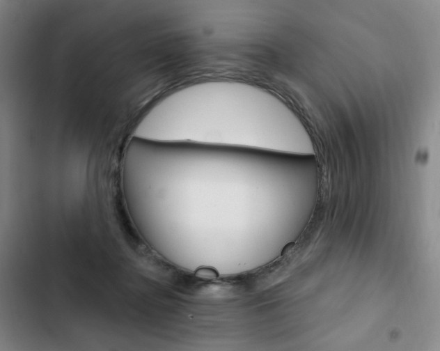 X0000103150364200808221134