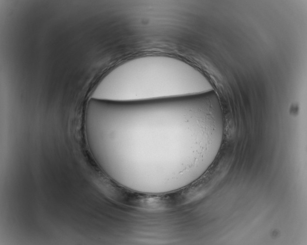 X0000103150365200808221134