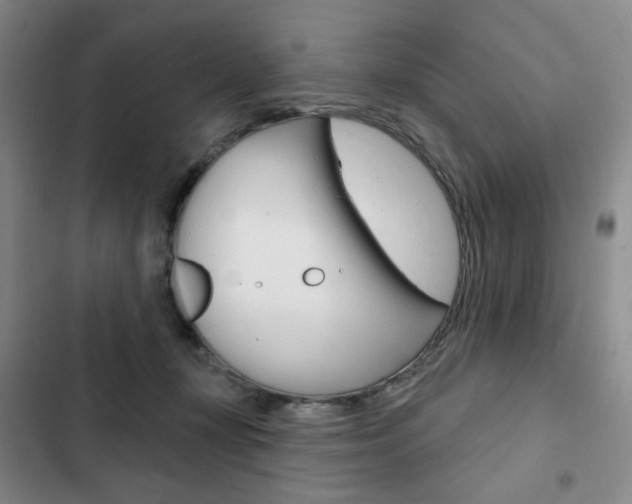 X0000103150367200808221134