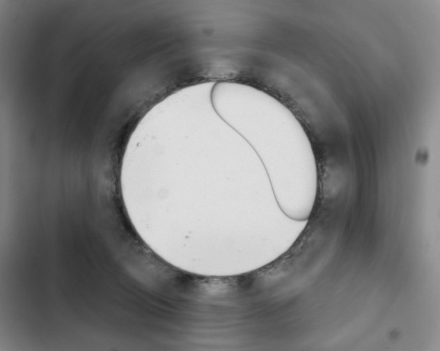 X0000103150370200808221134