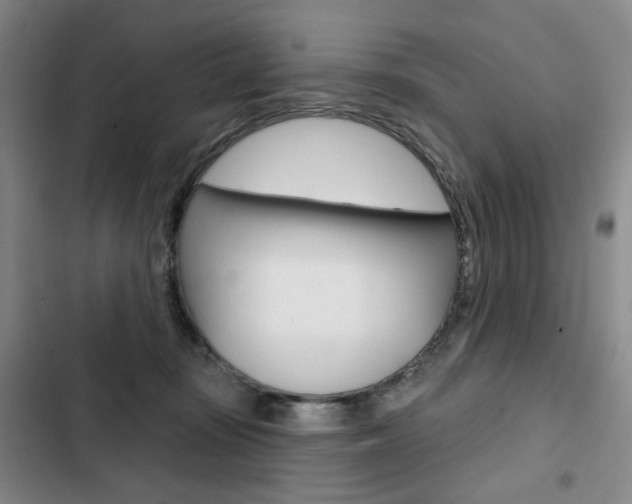 X0000103150371200808221134