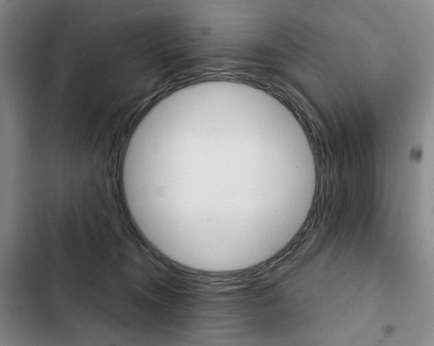 X0000103150372200808221134