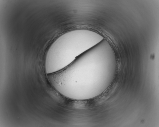 X0000103150373200808221134