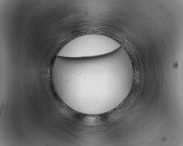 X0000103150375200808221134