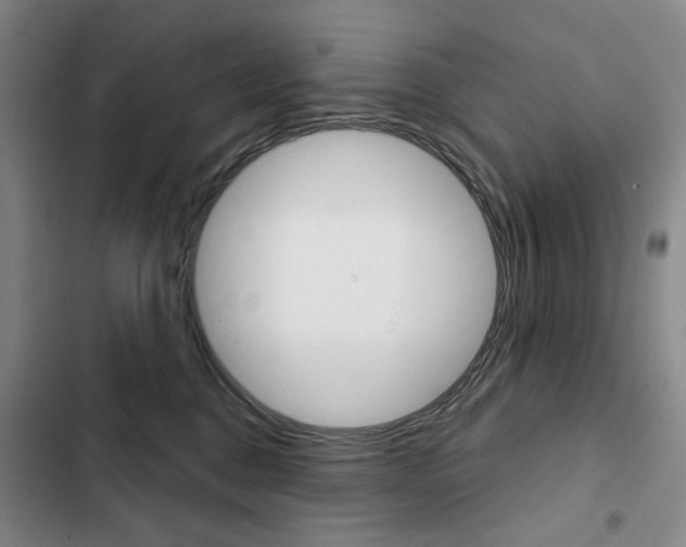 X0000103150376200808221134
