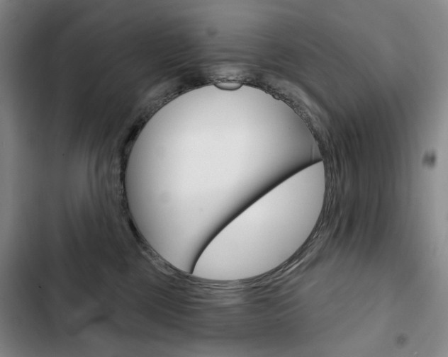 X0000103150377200808221134