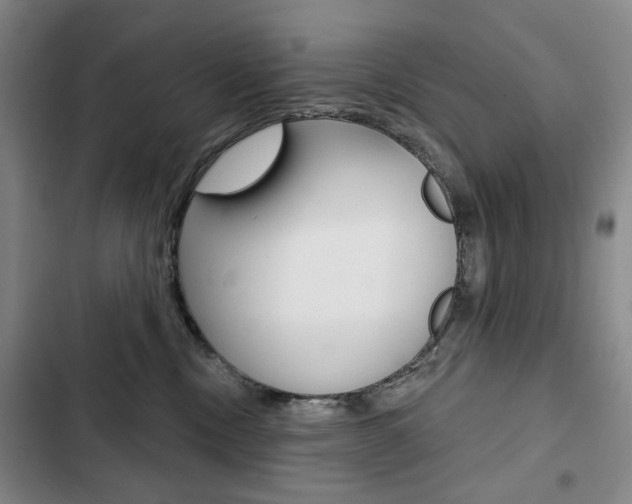 X0000103150378200808221134