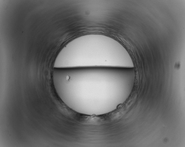 X0000103150379200808221134