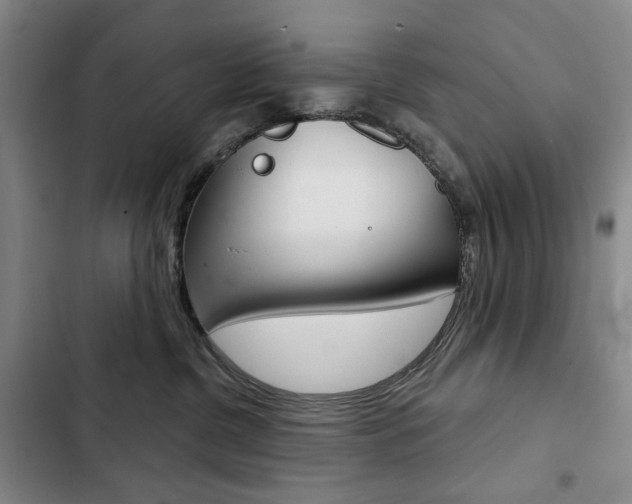 X0000103150380200808221134