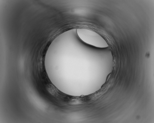 X0000103150381200808221134
