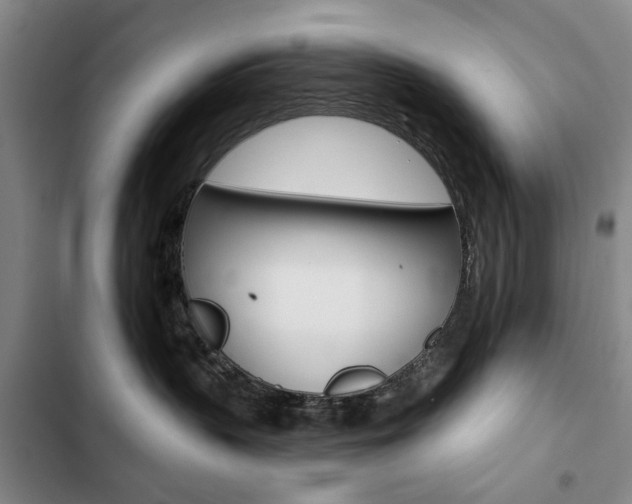 X0000103150383200808221134