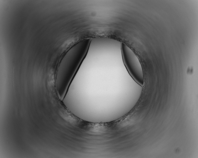 X0000103150384200808221134