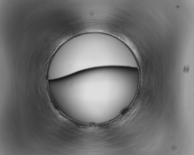 X0000103150385200808221133