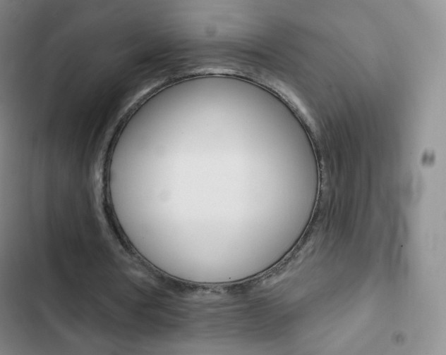 X0000103150386200808221133