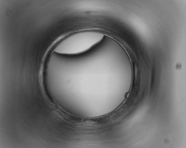 X0000103150387200808221133