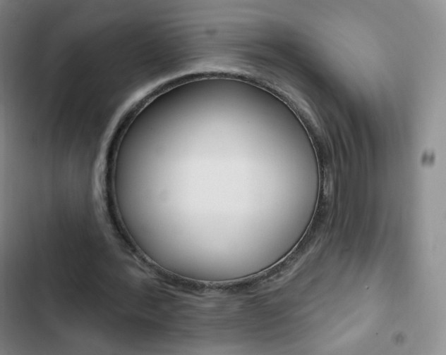 X0000103150388200808221133