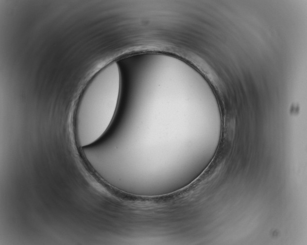 X0000103150389200808221133