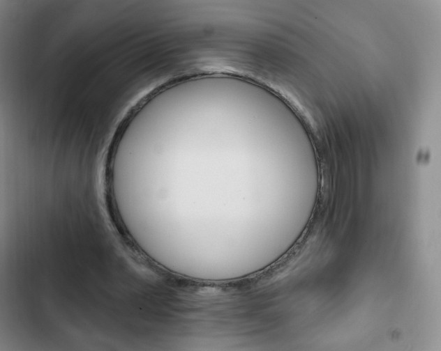 X0000103150390200808221133