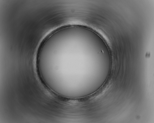 X0000103150391200808221133