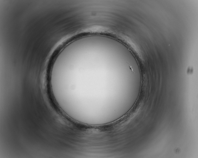 X0000103150392200808221133