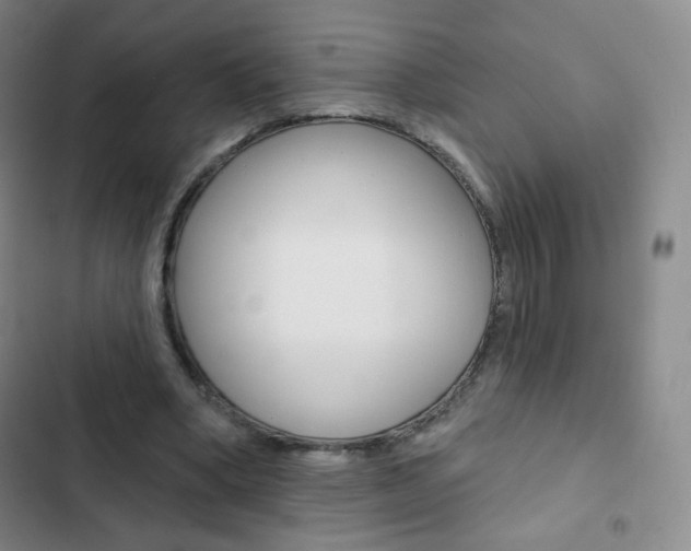 X0000103150394200808221133