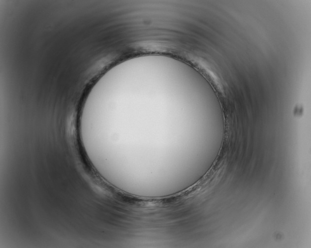 X0000103150398200808221133