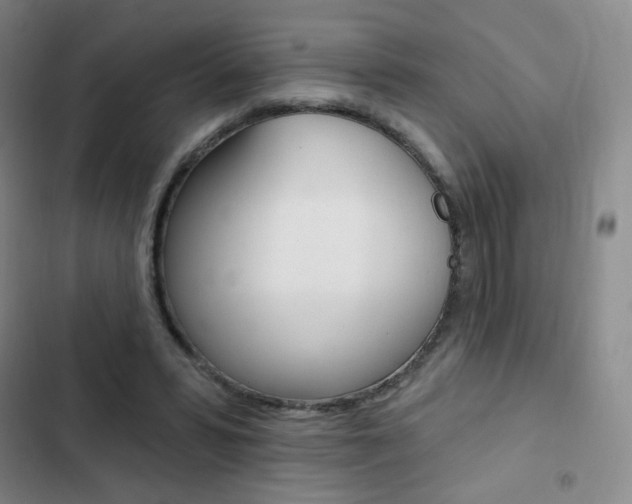 X0000103150399200808221133
