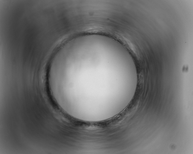 X0000103150400200808221133