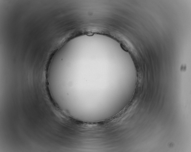 X0000103150401200808221133