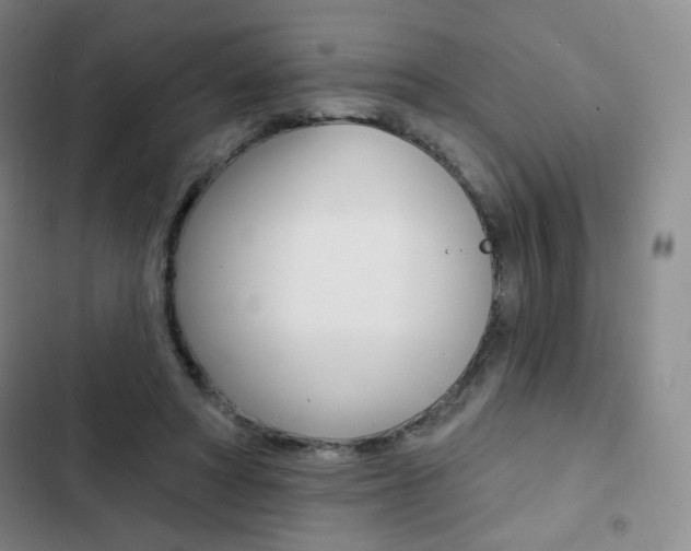 X0000103150402200808221133