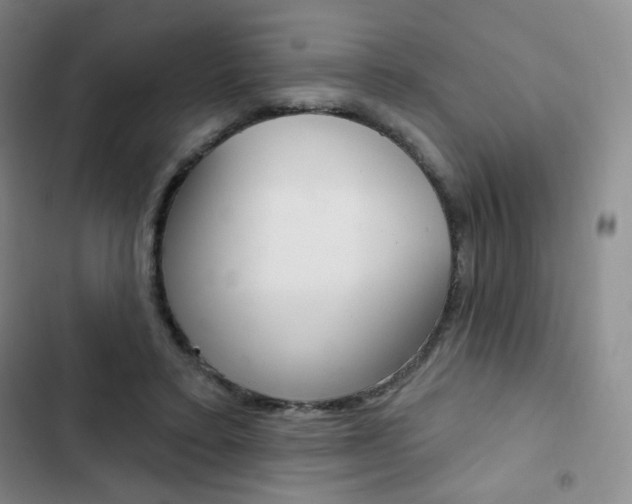 X0000103150403200808221133